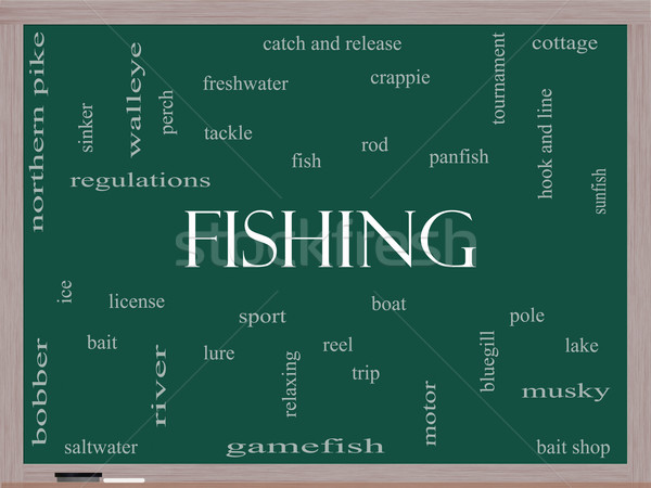 Fishing Word Cloud Concept on a Blackboard Stock photo © mybaitshop