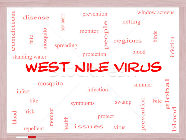 West Nile Virus Word Cloud Concept on a Whiteboard Stock photo © mybaitshop