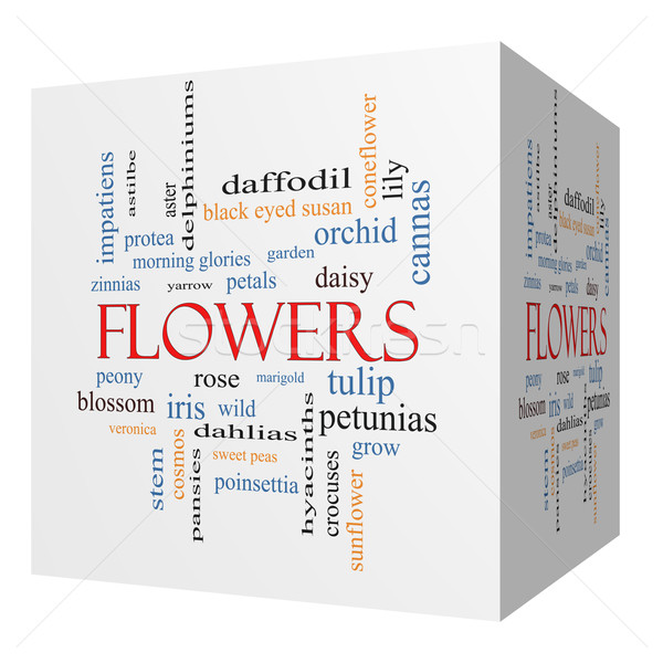 Flowers 3D cube Word Cloud Concept Stock photo © mybaitshop