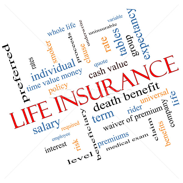 Life Insurance Word Cloud Concept Angled Stock photo © mybaitshop