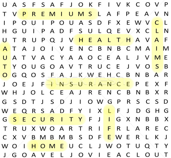 Insurance terms Word Search Stock photo © mybaitshop