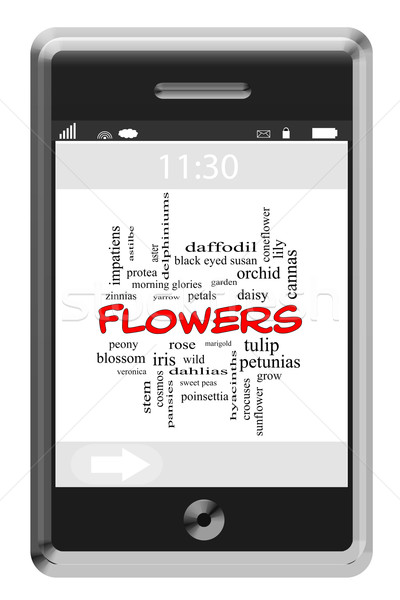 Flowers Word Cloud Concept on a Touchscreen Phone Stock photo © mybaitshop
