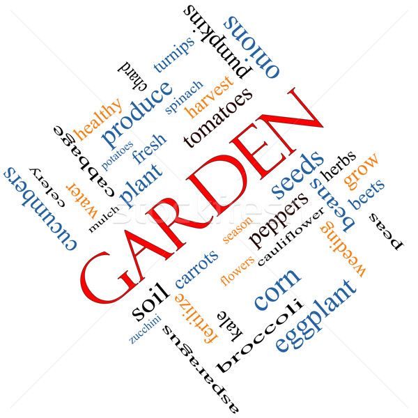 Garden Word Cloud Concept Angled Stock photo © mybaitshop