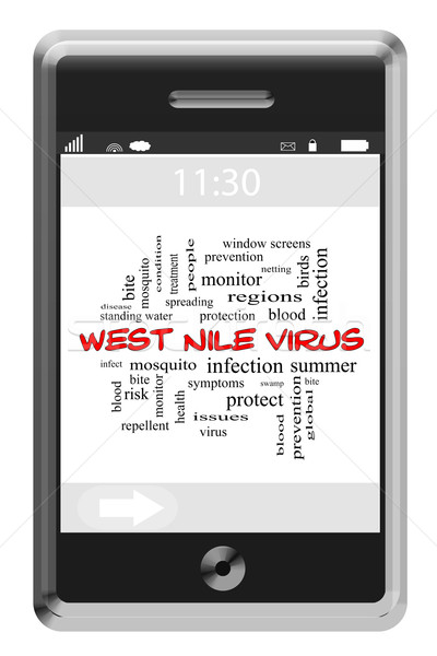West Nile Virus Word Cloud Concept on Touchscreen Phone Stock photo © mybaitshop