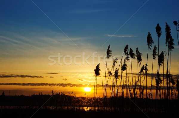 Coucher du soleil rivière soleil paysage fond orange [[stock_photo]] © mycola