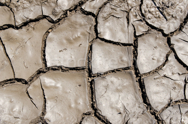 wet earth as texture Stock photo © mycola