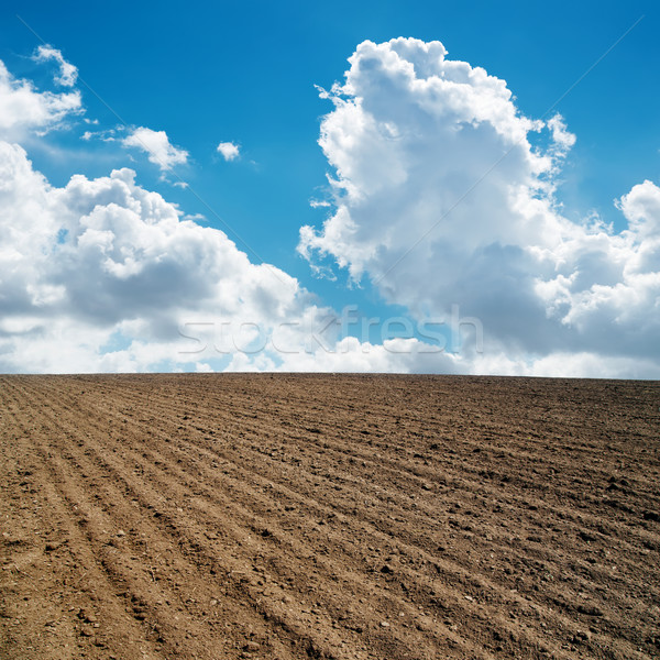 clouds in blue sky and plowed field Stock photo © mycola