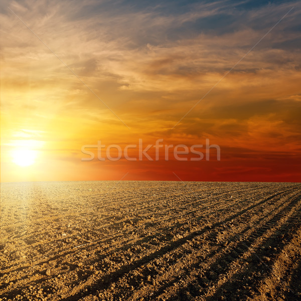 red sunset over ploughed farm field Stock photo © mycola