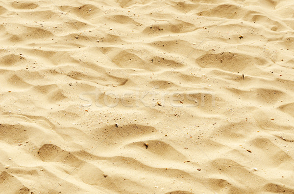 yellow sand as texture and background Stock photo © mycola