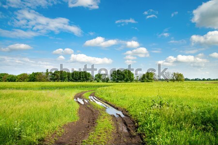 ストックフォト: 道路 · 緑の草 · 曇った · 空 · 草 · 自然