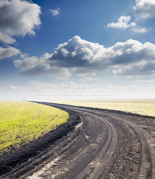 Strada nebuloso orizzonte nuvoloso cielo erba Foto d'archivio © mycola