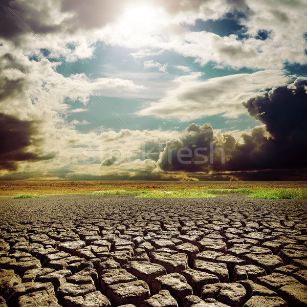 Sıcak güneş kuraklık toprak çatlaklar gökyüzü Stok fotoğraf © mycola