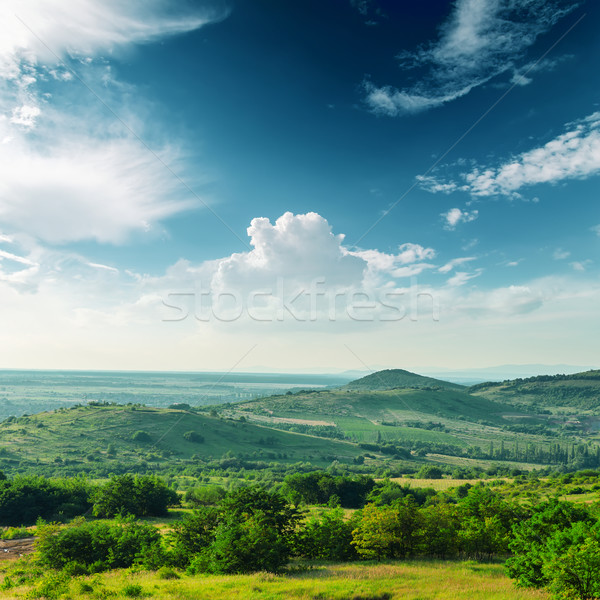 美しい 緑 山 風景 森林 夏 ストックフォト © mycola