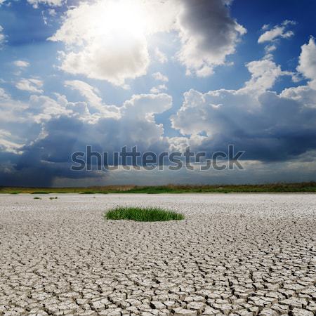 dramatic sky over drought earth Stock photo © mycola
