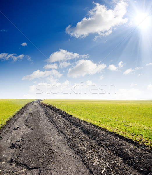 Strada nebuloso orizzonte sole cielo erba Foto d'archivio © mycola