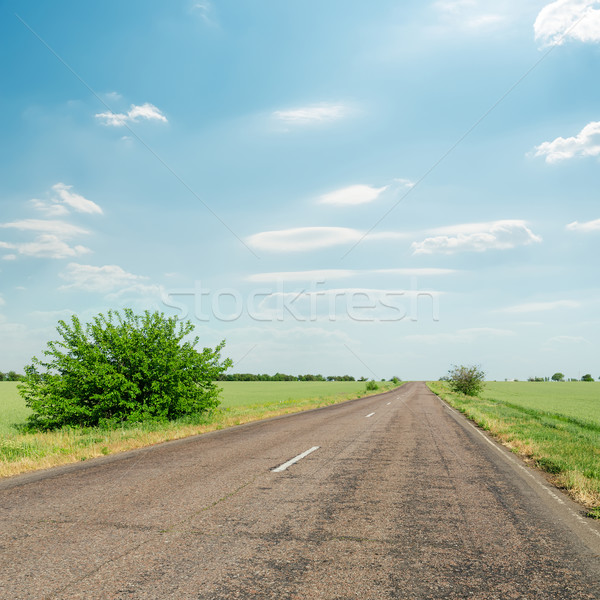アスファルト 道路 緑 フィールド 青 曇った ストックフォト © mycola