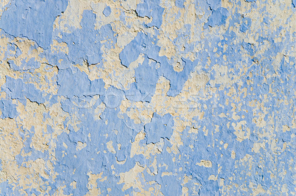 wall Stock photo © mycola