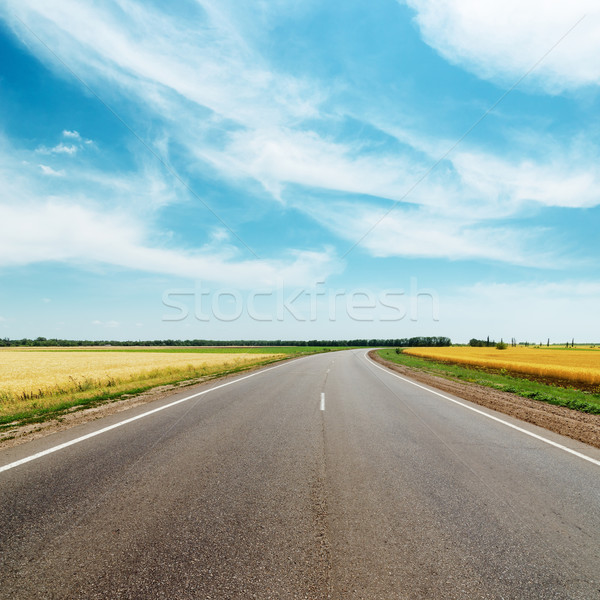 asphalt road to horizon between golden fields under blue sky wit Stock photo © mycola