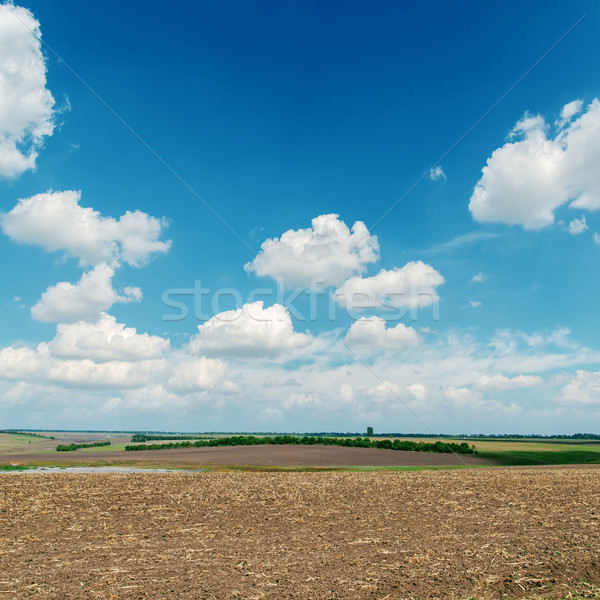 black plowed field under blue sky with white clouds Stock photo © mycola