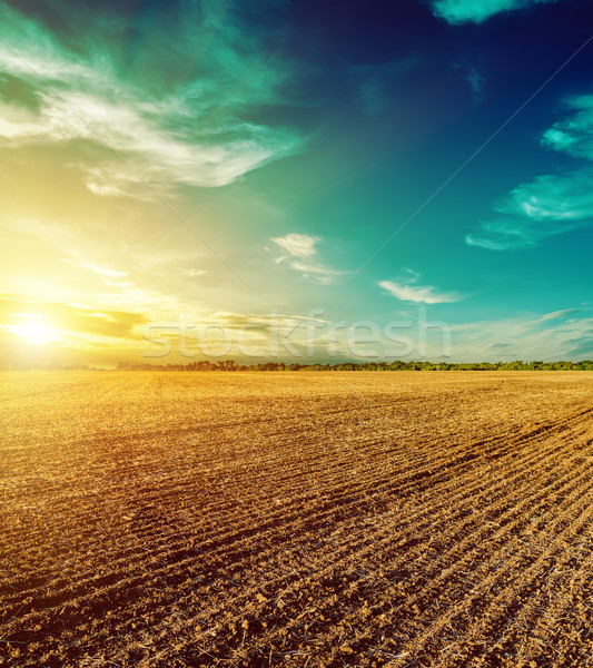 sunset in dramatic sky over plowed field Stock photo © mycola