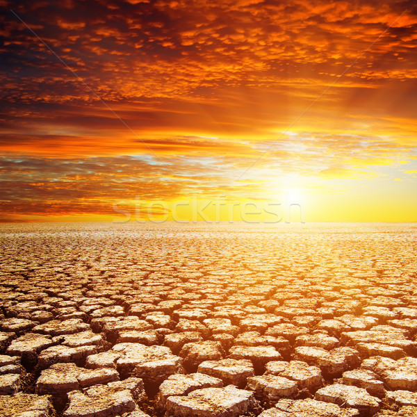 Foto stock: Deserto · vermelho · pôr · do · sol · luz · verão · laranja