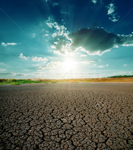 засуха землю драматический закат солнце природы Сток-фото © mycola