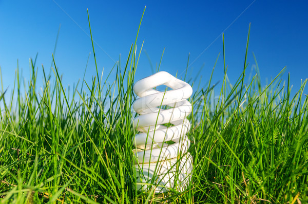 Stock photo: energy saving bulb in green grass against blue sky