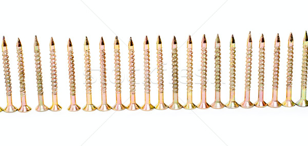 row of screw Stock photo © mycola