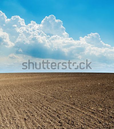 black plowed field after harvesting and blue cloudy sky Stock photo © mycola