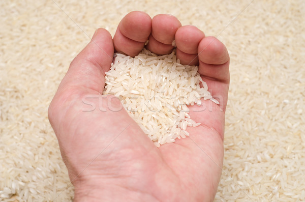 rice in hand Stock photo © mycola