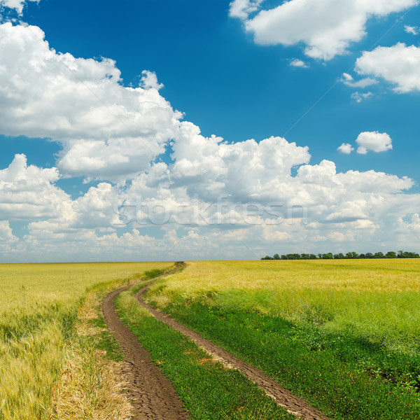 Vuile weg bewolkt horizon hemel landschap Stockfoto © mycola