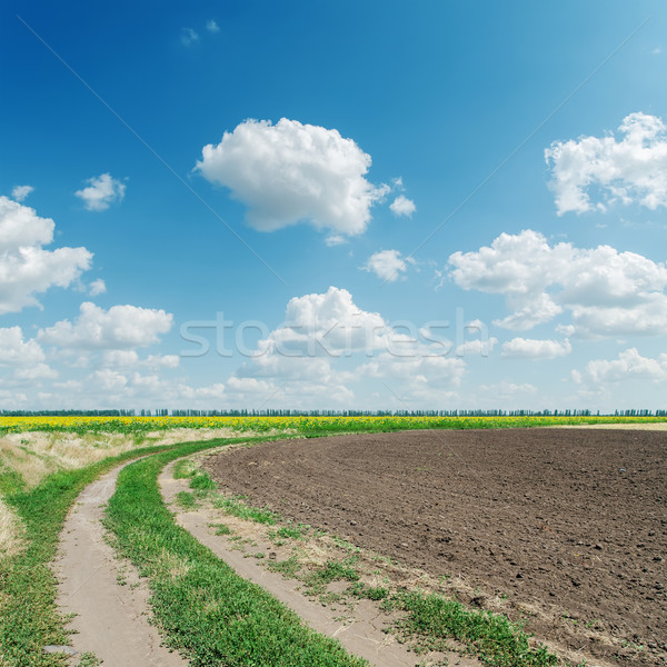 Stock photo: winding rural road goes to cloudy horizon
