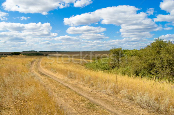road in steppe Stock photo © mycola