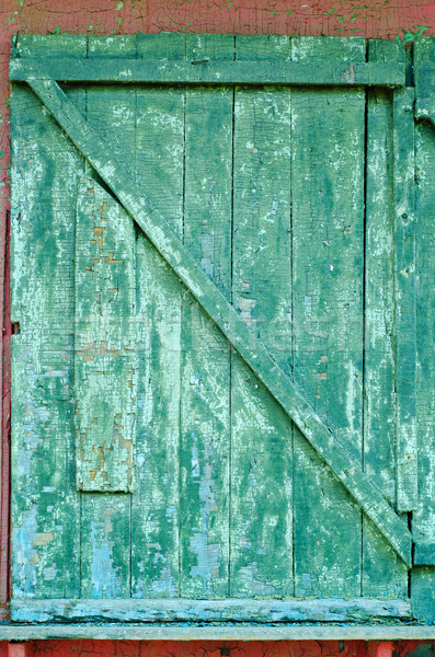 cracked old door Stock photo © mycola