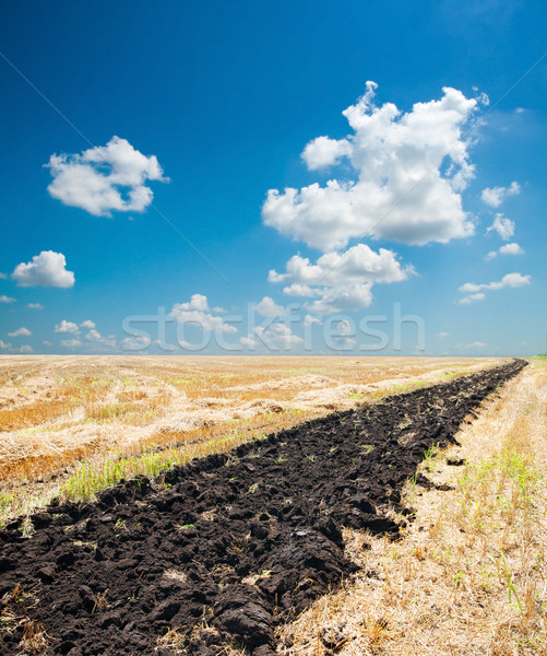 [[stock_photo]]: Domaine · ciel · bleu · paysage · noir · vie · or