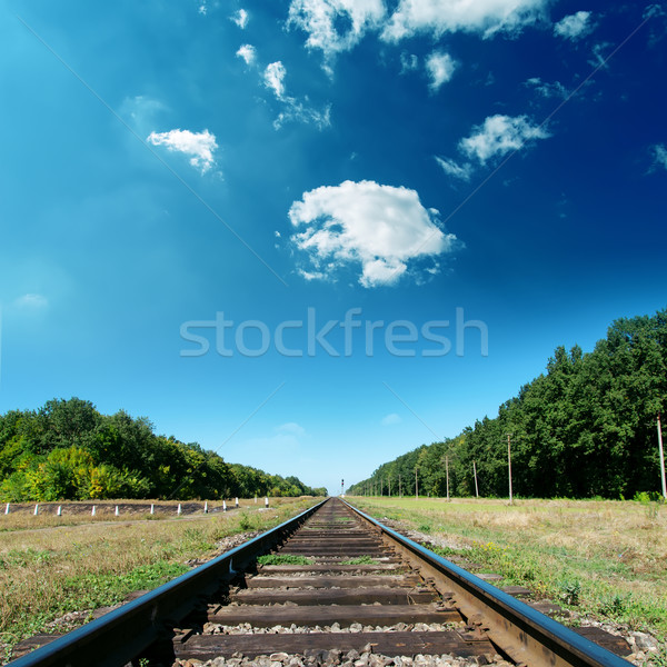 railroad to green horizon Stock photo © mycola