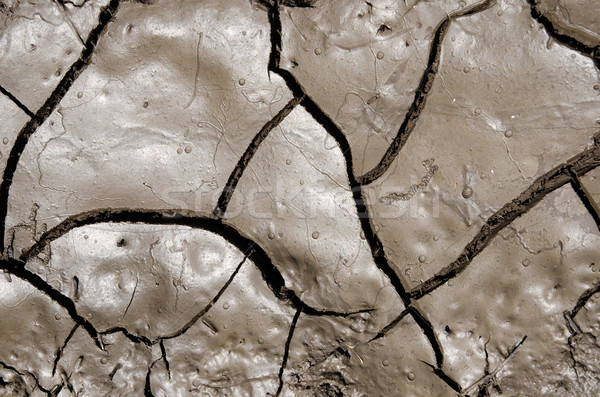 wet earth with cracks Stock photo © mycola