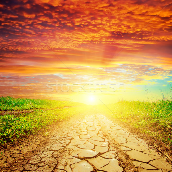 red sunset over drought road Stock photo © mycola