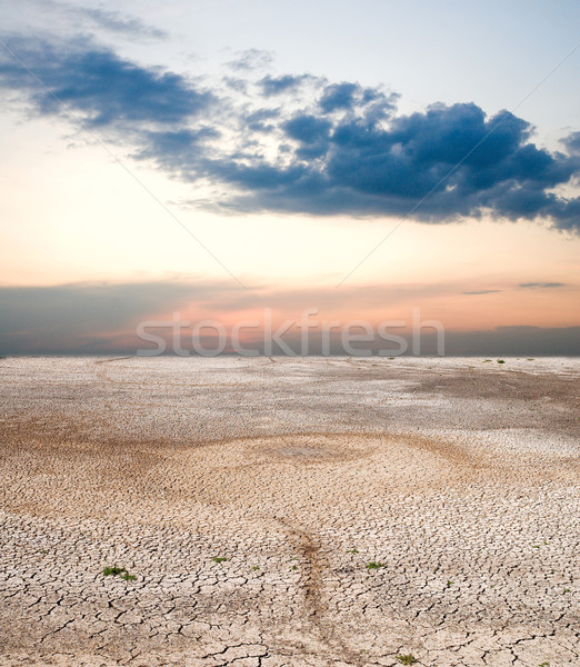 Natuurlijke ramp water abstract woestijn zomer Stockfoto © mycola