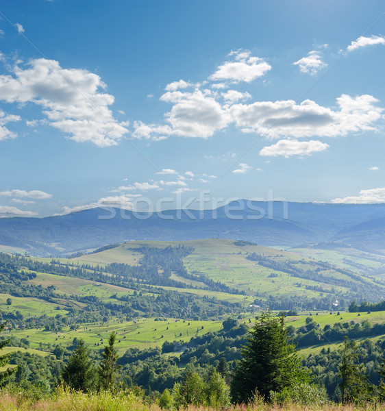 Stock photo: Carpathian mountains in summer