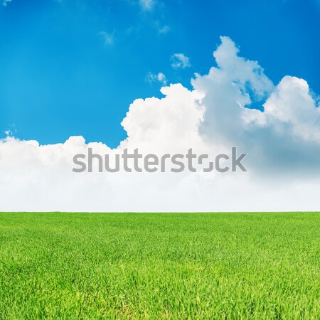 green grass under deep blue sky with clouds Stock photo © mycola