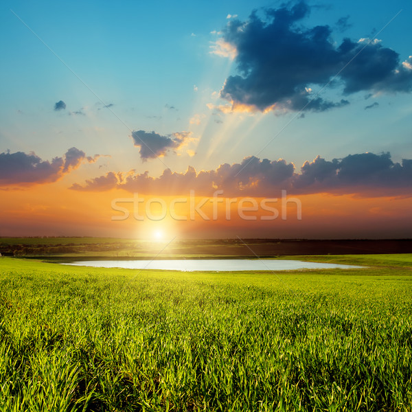 Stock photo: good sunset over green field with pond