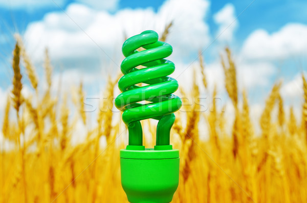 Foto d'archivio: Verde · eco · lampadina · campo · raccolto