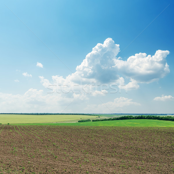 plowed field in spring under cloudy sky Stock photo © mycola