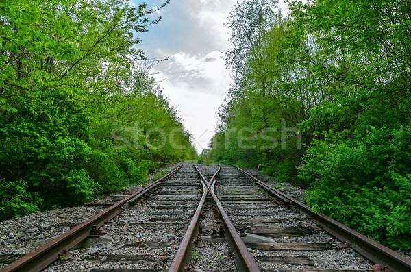 Stock photo: crossing of two railroads in wood
