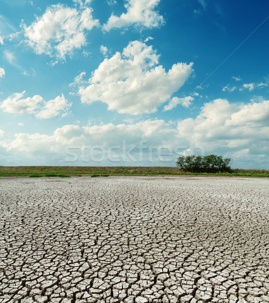 cracked desert under low clouds Stock photo © mycola