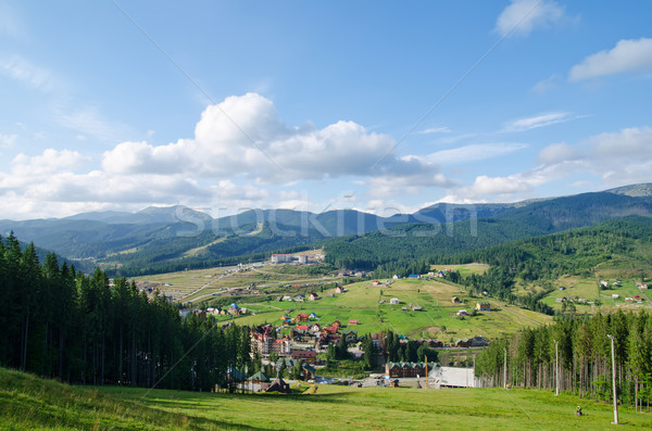 Beautiful green mountain landscape with trees in Carpathians Stock photo © mycola