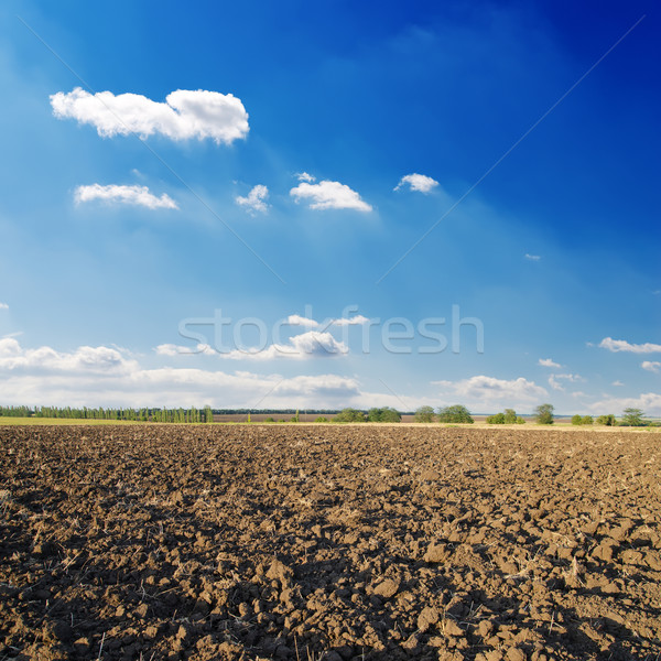 black ploughed field under deep blue sky with clouds Stock photo © mycola