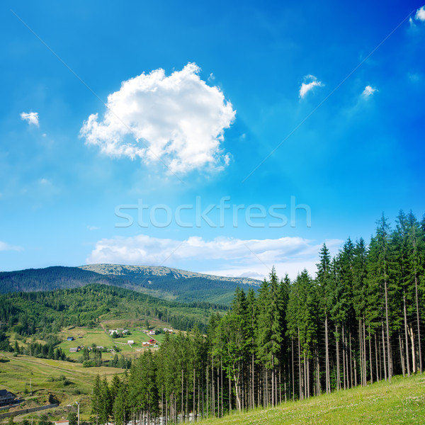 Belle vert montagne paysage arbres région [[stock_photo]] © mycola