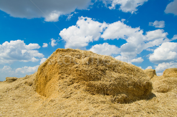 Meule de foin paille ciel bleu nuages paysage [[stock_photo]] © mycola